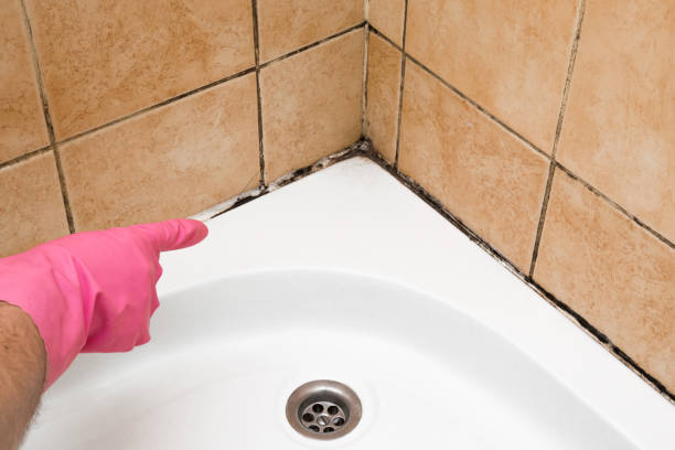 Best Residential Mold Removal  in Great Neck Plaza, NY